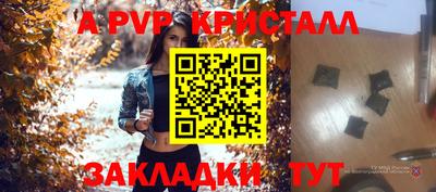 PSILOCYBIN Кингисепп